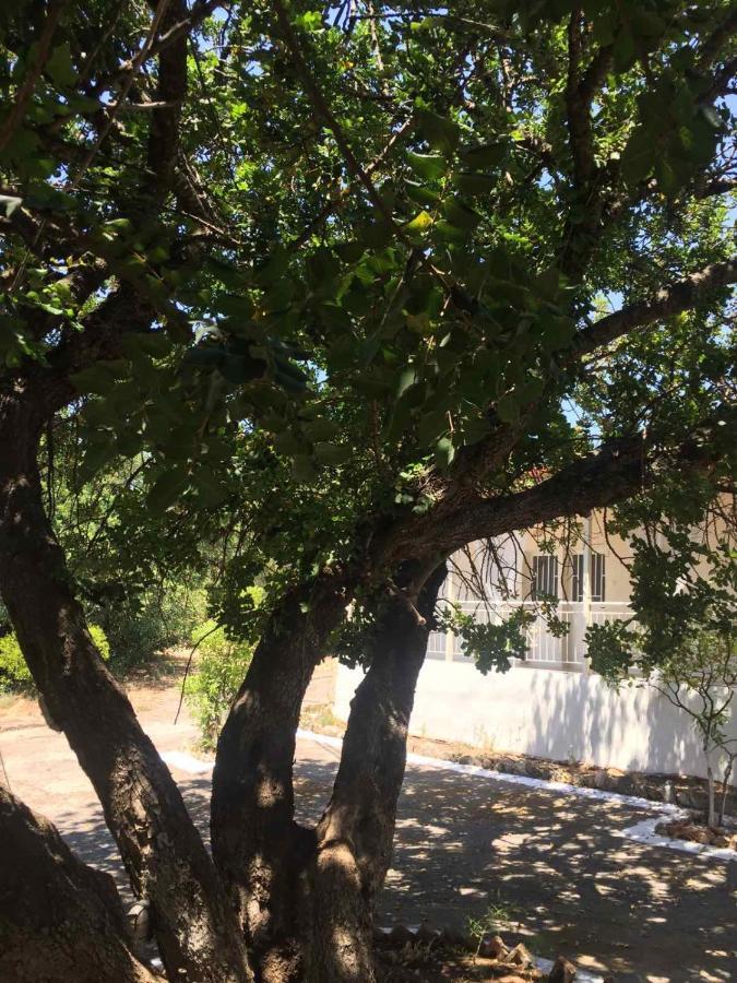 Αγρόκτημα Χελωναριά - Agroktima Chelonaria Chrani Exterior photo