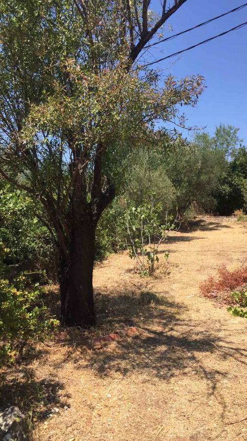 Αγρόκτημα Χελωναριά - Agroktima Chelonaria Chrani Exterior photo